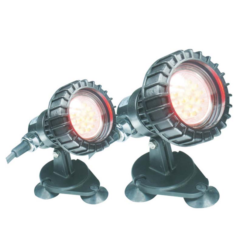 Ryby Nad Podzemním Rybníkem Ponorné Světlo